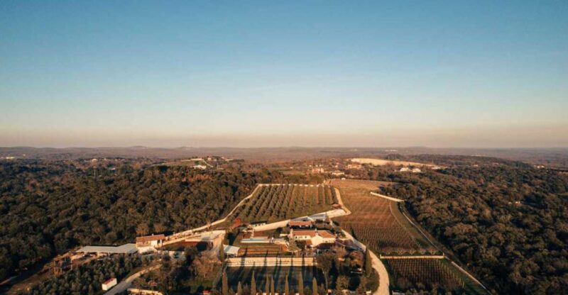 Three Authentic Istrian Wineries - Collis Winery