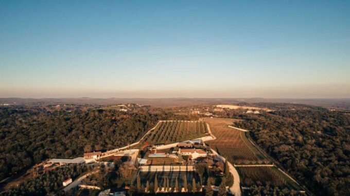 Three Authentic Istrian Wineries - Customer Feedback