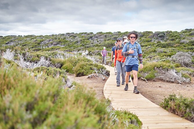 Three Capes & Tukana / Tasman Peninsula Hiking Tour - 4 Days - Health and Safety