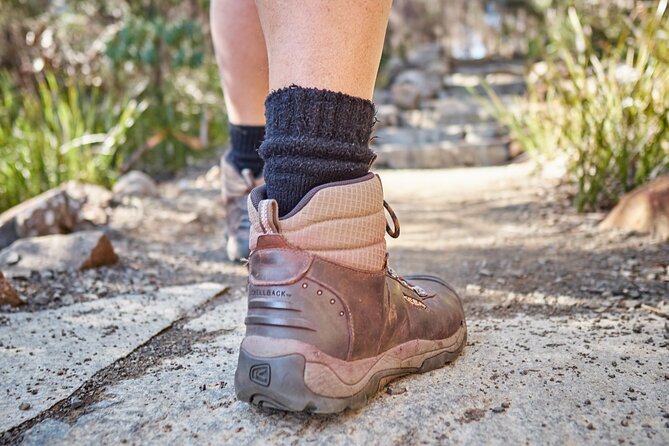 Three Capes & Tukana / Tasman Peninsula Hiking Tour - 4 Days - Cozy Accommodations