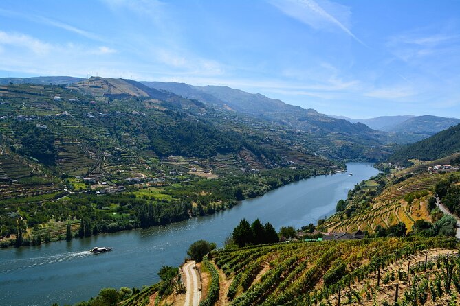 Three Cities in One Day: Douro Winery, Braga & Aveiro From Porto - Traveler Experiences and Ratings