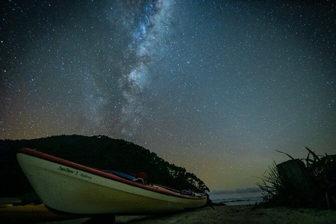 Three Day Classic Kayaking in New Zealand - Wildlife Sightings