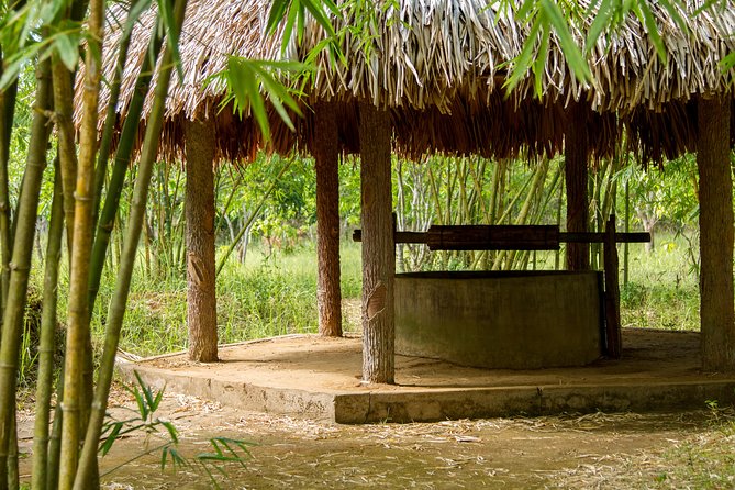 Three-day Hue, Vinh Moc & Paradise Cave Tour From Hoi An - Phong Nha Paradise Cave