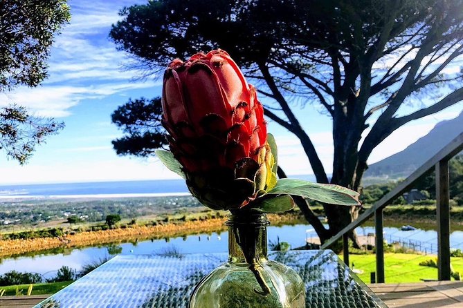 Three Day Private Tour: Table Mountain, City, Cape Peninsula and Winelands - What to Bring on the Tour