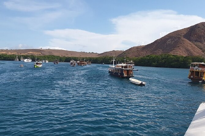 Three-Day, Two-Night Komodo National Park Tour From Bali  - Labuan Bajo - Promoted Experiences