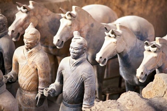 Three Day Xian Adventure Private Tour With Mt.Hua - Itinerary: Day 1