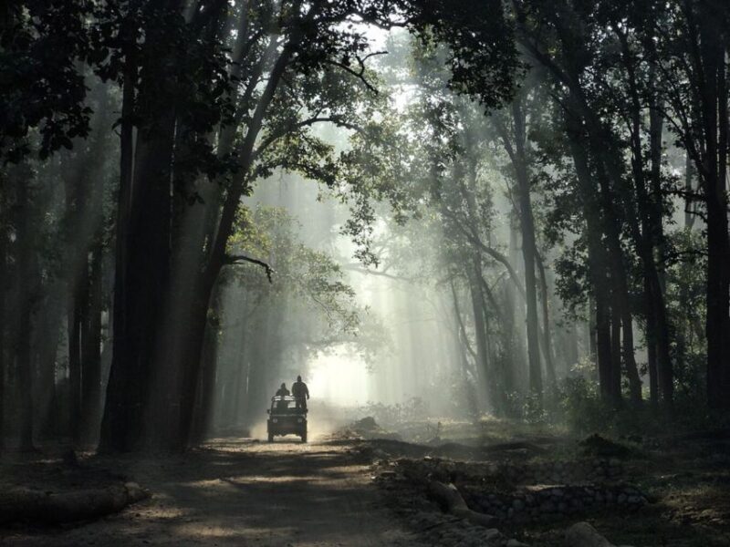 Three Days Jim Corbett National Park Tour - Day 2 Activities