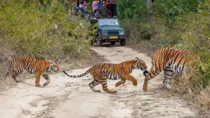 Three Days Jim Corbett National Park Tour - Meeting Point