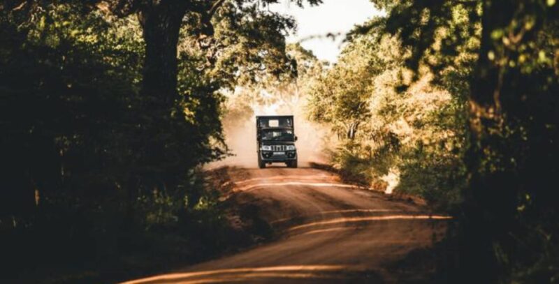 Three Days - Private Wildlife Expedition - Rainforest Exploration