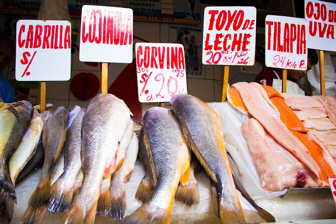 Three Districts of Lima by Night - Highlights of Miraflores