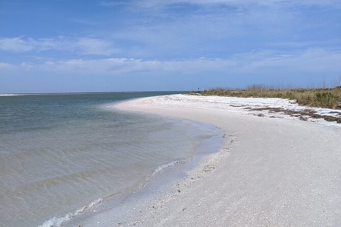 Three Hour Shelling Cruise to Shell Key Preserve From Johns Pass - Departure and Return Location