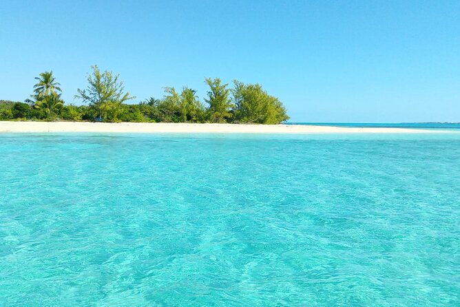 Three Island Boat Tour (incl. Rose Island): Snorkeling & Pigs - Activities and Inclusions