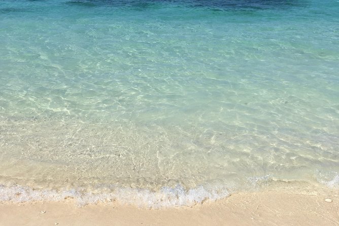 Three Island Boat Tour (incl. Rose Island): Snorkeling & Pigs - Booking Advice and Preparation