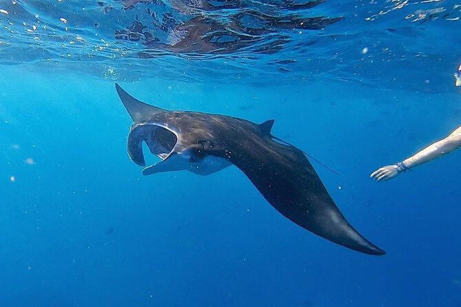 Three Islands Snorkeling Trip (3 Spots) From Lembongan (Lt) - Additional Information