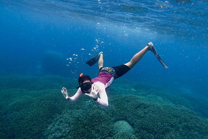 Three Islands Snorkeling Trip (3 Spots) From Lembongan (Lt) - What to Expect