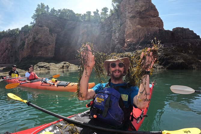 Three Sisters Sea Kayaking Day Tour - Vegetarian Option Available