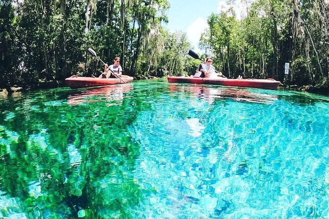 Three Sisters Springs Kayak And Swim Eco-Tour Crystal River - Additional Information