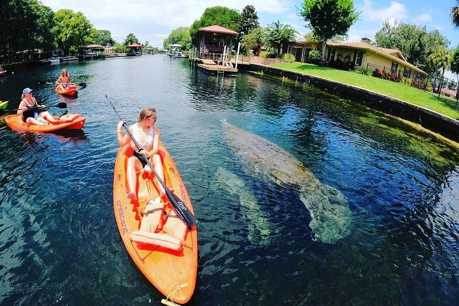 Three Sisters Springs Kayak And Swim Eco-Tour Crystal River - Optional Upgrades