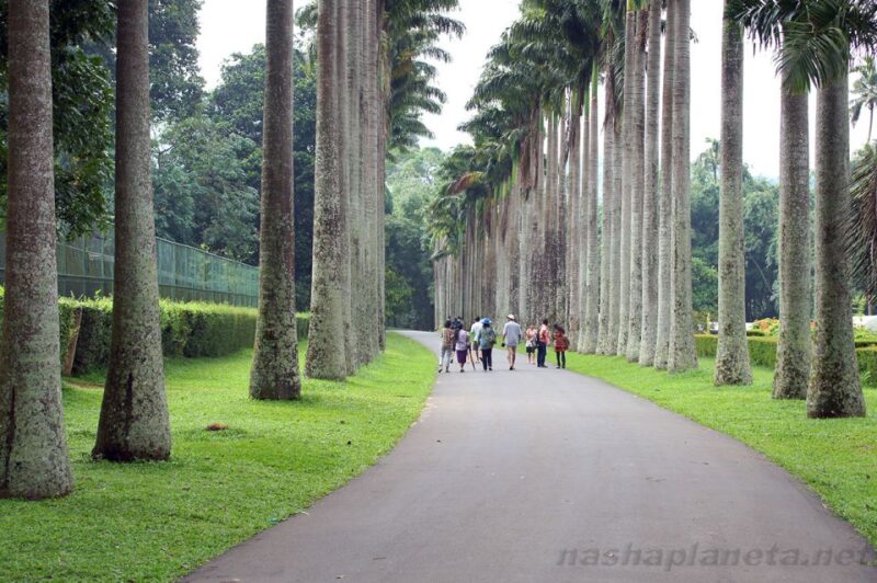 Three Temples Loop In Kandy Day Tour By Tuk Tuk - Recap