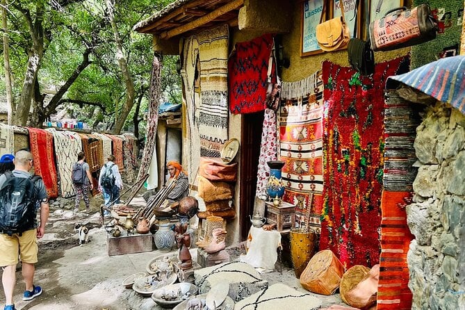 Three Valleys and Atlas Mountain & Waterfalls Tour From Marrakesh - Chasing the Waterfalls
