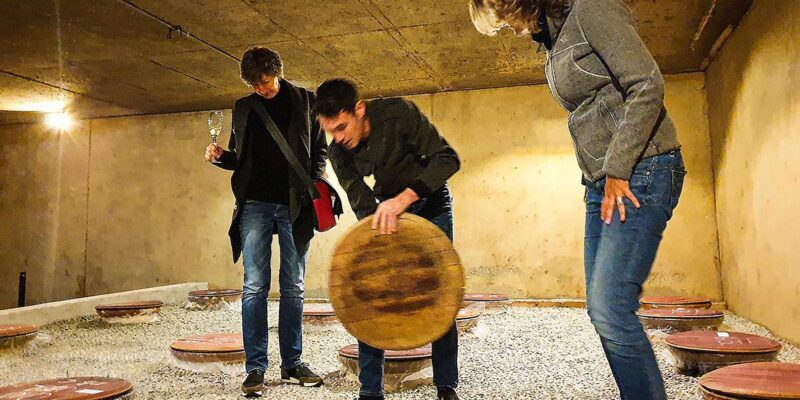 Three Wine Districts. Private Tour With Winemaker. - Itinerary Highlights