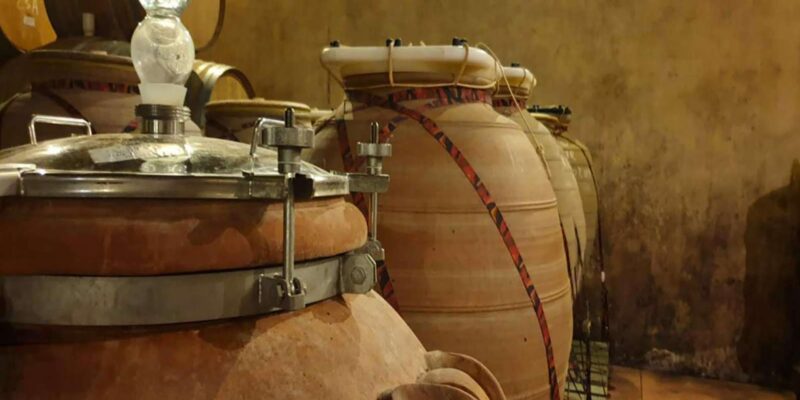 Three Wine Districts. Private Tour With Winemaker. - Transportation and Safety