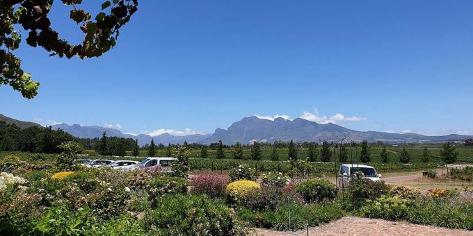 Three Wine Districts. Private Tour With Winemaker. - Frequently Asked Questions