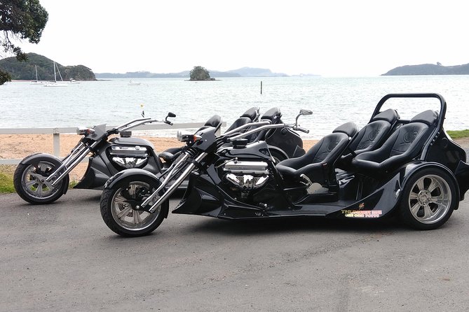 Thriller Tour - Bay of Islands, 30 Mins (Min 2) - Experience Highlights