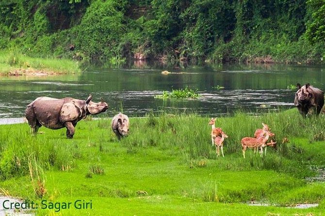 Thrilling Jungle Safari & White Water Rafting Expedition - Itinerary and Meals
