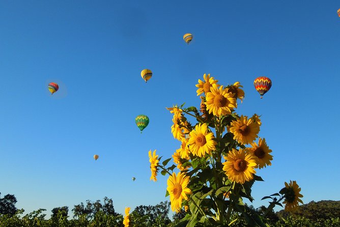 Thrilling Napa Balloon Ride: No Change After 5pm the Day Prior to Balloon Tour - Cancellation and Refund Policy