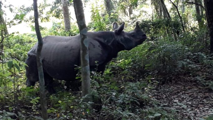 Thrills and Tranquility: Jeep Safari and Canoeing in Chitwan - Best Seasons