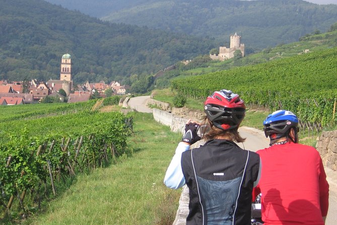 Through Alsace Vineyards and Wine Villages Private Bike Tour - Tour Highlights