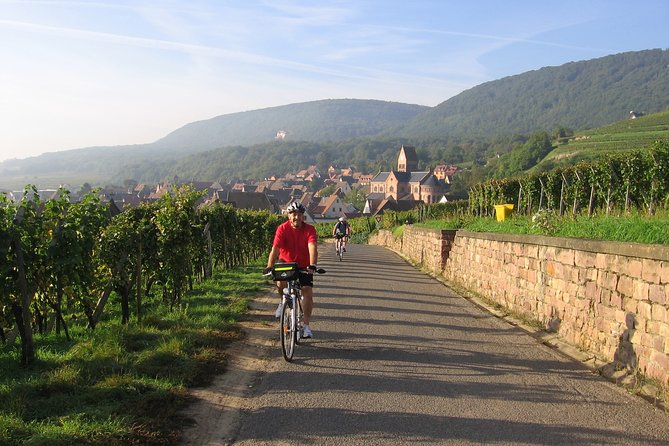 Through Alsace Vineyards and Wine Villages Private Bike Tour - Tour Experience