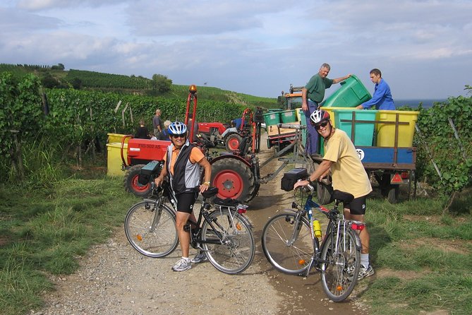 Through Alsace Vineyards and Wine Villages Private Bike Tour - Meeting Point and Duration