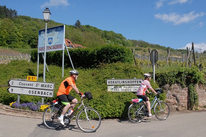 Through Alsace Vineyards and Wine Villages Private Bike Tour - Bike and Equipment Included