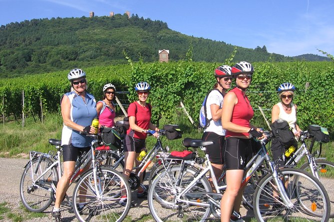 Through Alsace Vineyards and Wine Villages Private Bike Tour - Wine Purchases Available