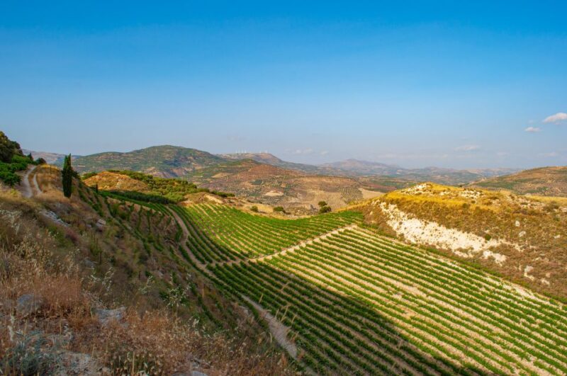 Through Heart of Crete to South & Wine Tasting Private Tour - Witnessing Wandering Peacocks