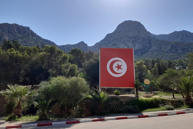 Thuburbo Majus Uthina and Zaghouan Roman Sites Tour From Tunis or Hammamet - Traveler Feedback and Reviews