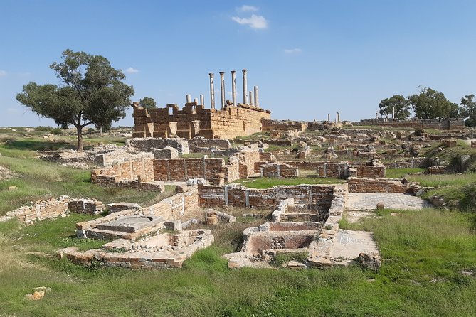 Thuburbo Majus Uthina and Zaghouan Roman Sites Tour From Tunis or Hammamet - Booking and Flexibility