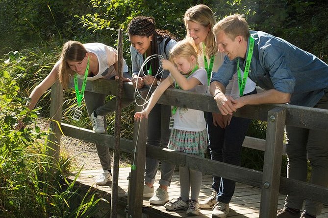 Thun Foxtrail Treasure - Pricing and Booking
