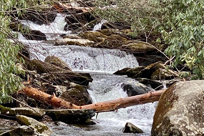 Thundering Streams and Falls of the Smokies Guided Hiking Tour - Physical Demands and Accessibility