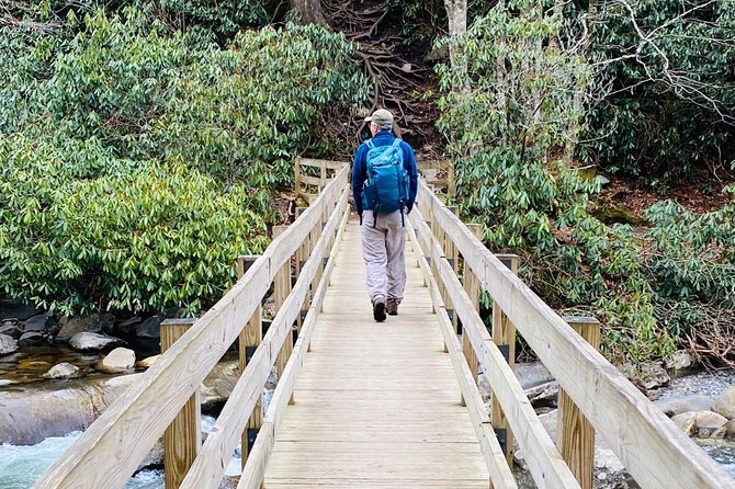 Thundering Streams and Falls of the Smokies Guided Hiking Tour - Customer Feedback and Testimonials