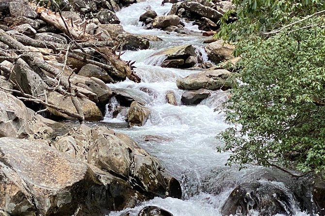 Thundering Streams and Falls of the Smokies Guided Hiking Tour - Booking and Cancellation Policy