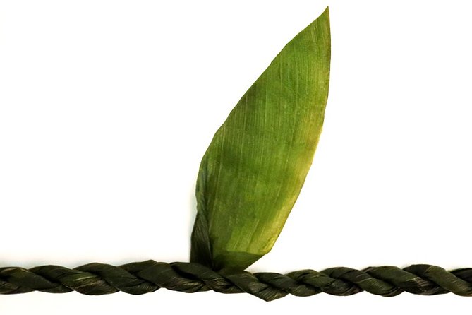 Ti Leaf Airport Lei Greeting (Maui, Kahului Airport, OGG) - Location and Duration