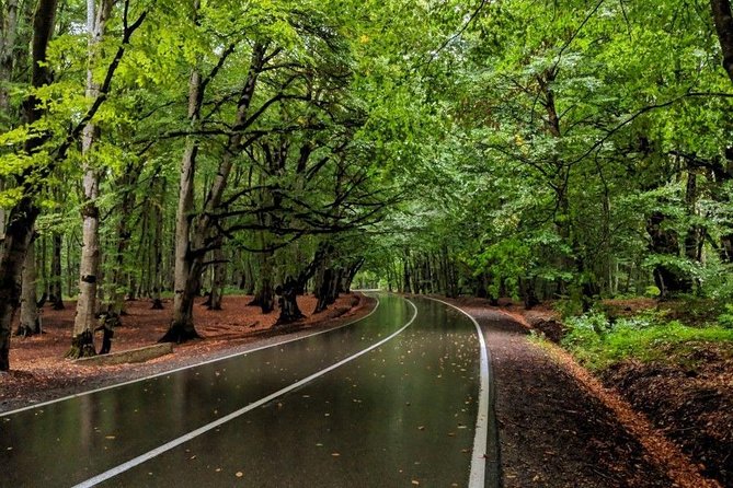 Tianetskiy Wildlife Sanctuary Sabaduri Private Full-Day Tour  - Tbilisi - Cancellation Policy