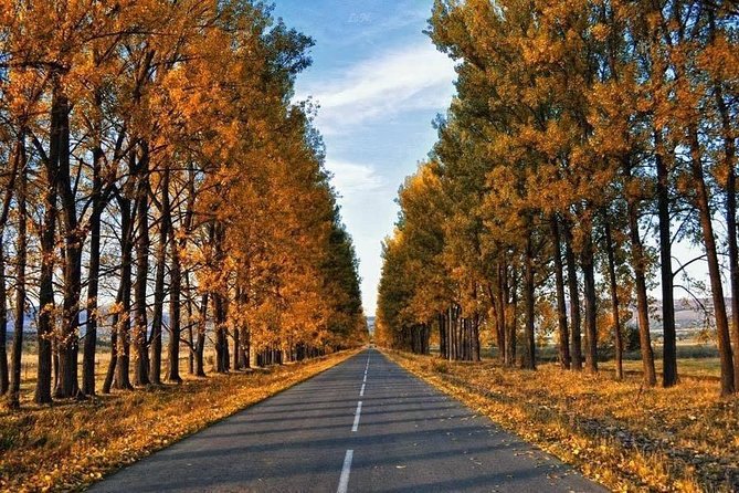 Tianetskiy Wildlife Sanctuary Sabaduri Private Full-Day Tour  - Tbilisi - Frequently Asked Questions