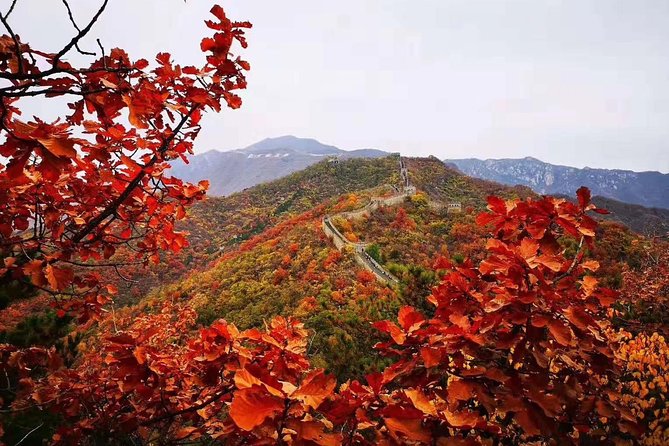 Tianjin Port To Beijing Private 2-Day Tour Package - Cruise Passenger Information