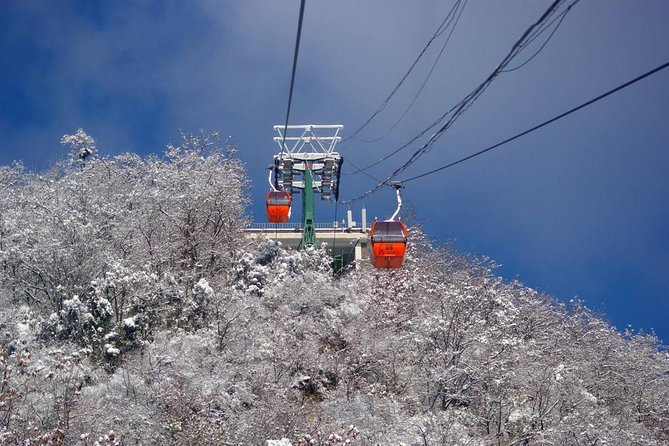 Tianjin Private Day Trip to Mutianyu Great Wall With Cable Car or Toboggan Ride - Inclusions and Exclusions