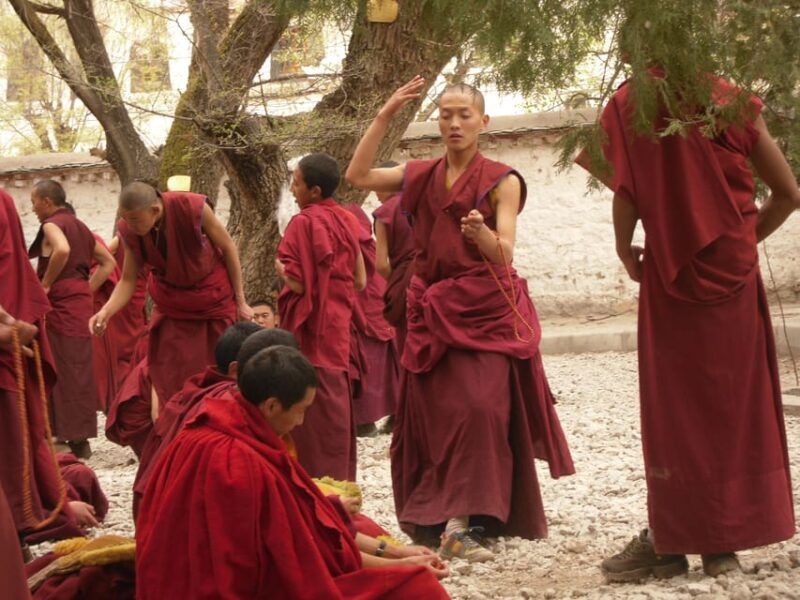 Tibet Overland Tour - 08 Days - Exclusions