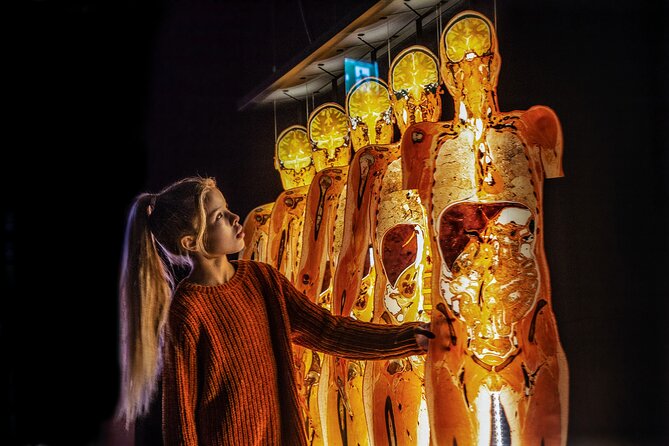 Ticket Expo Body Worlds in Bruges, Belgium - Ratings and Reviews